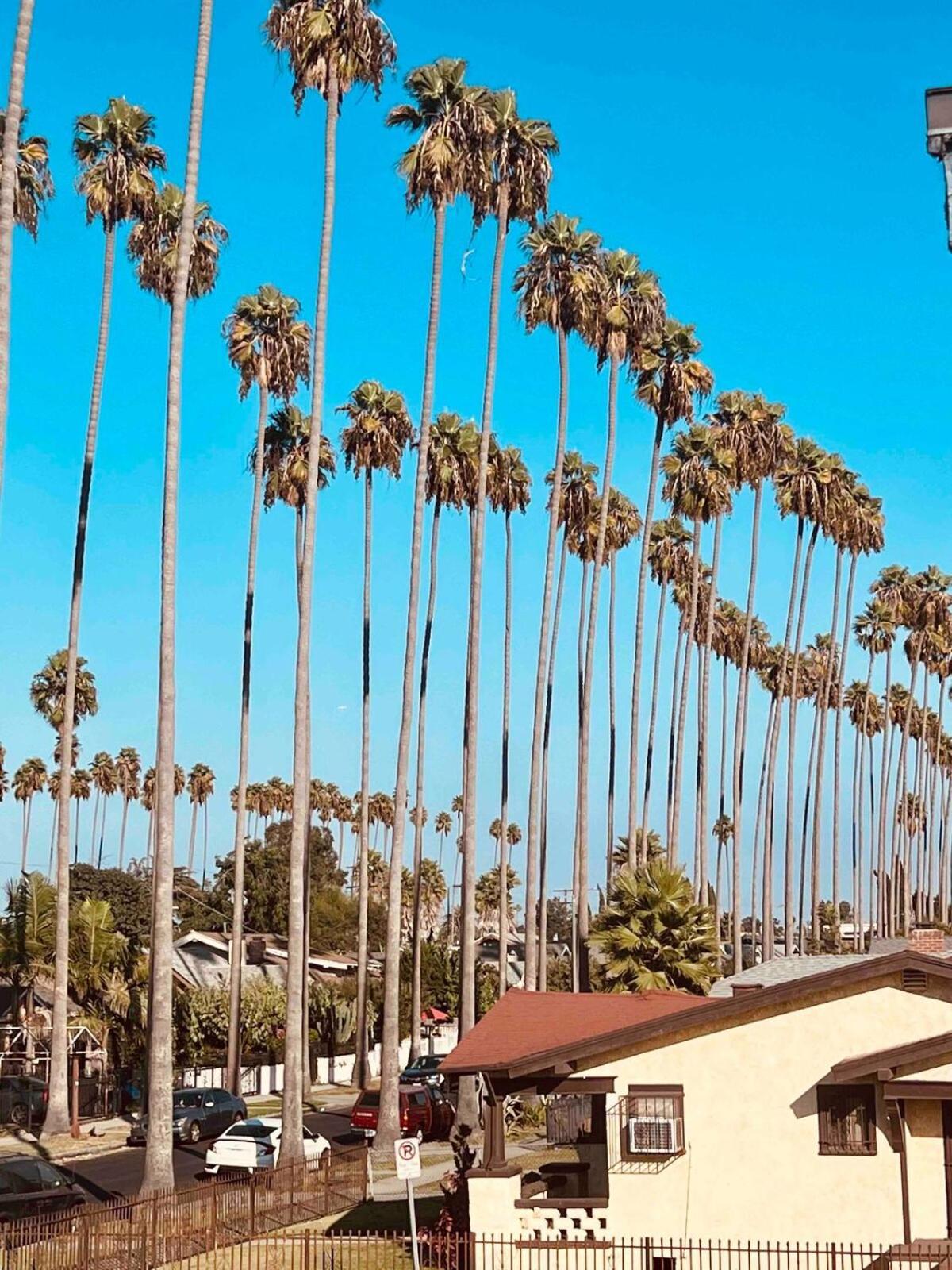 Beautiful Private Upstairs Studio - Usc, Lax, Sofi ลอสแอนเจลิส ภายนอก รูปภาพ
